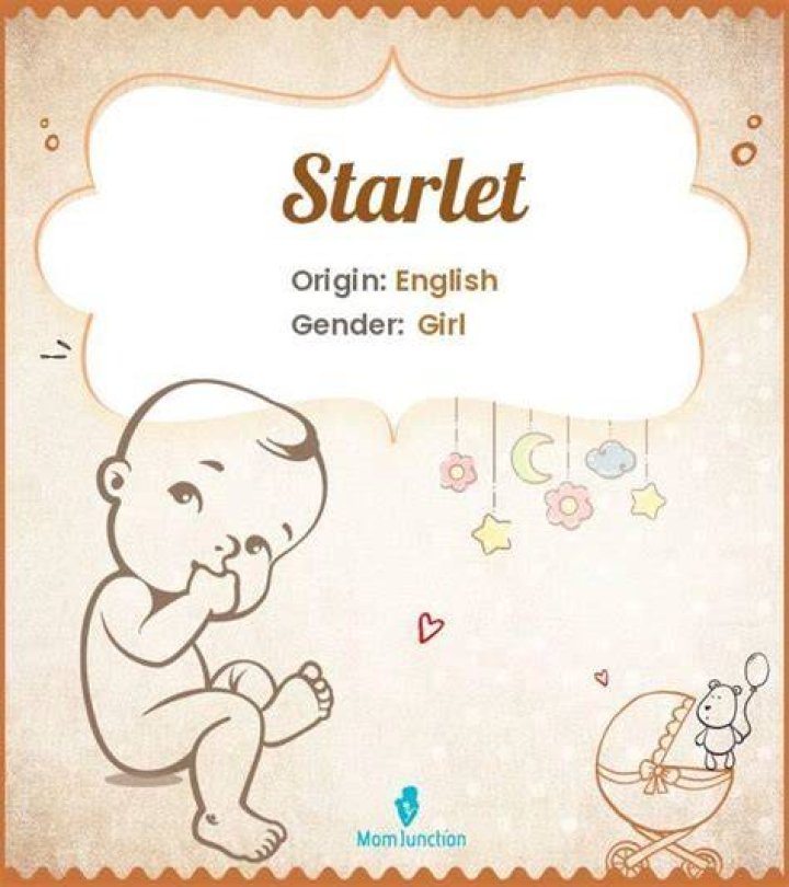 From Starlet To Household Name