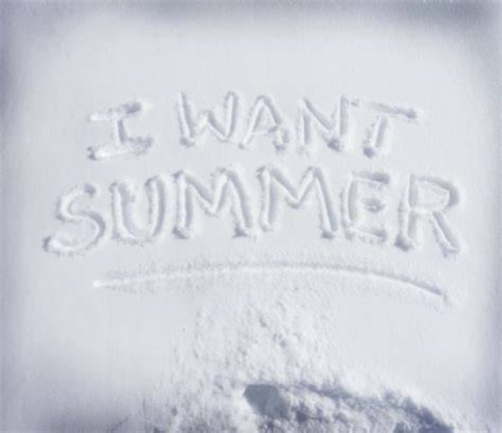 I want summer now Summer madness, Summer, Beach pool
